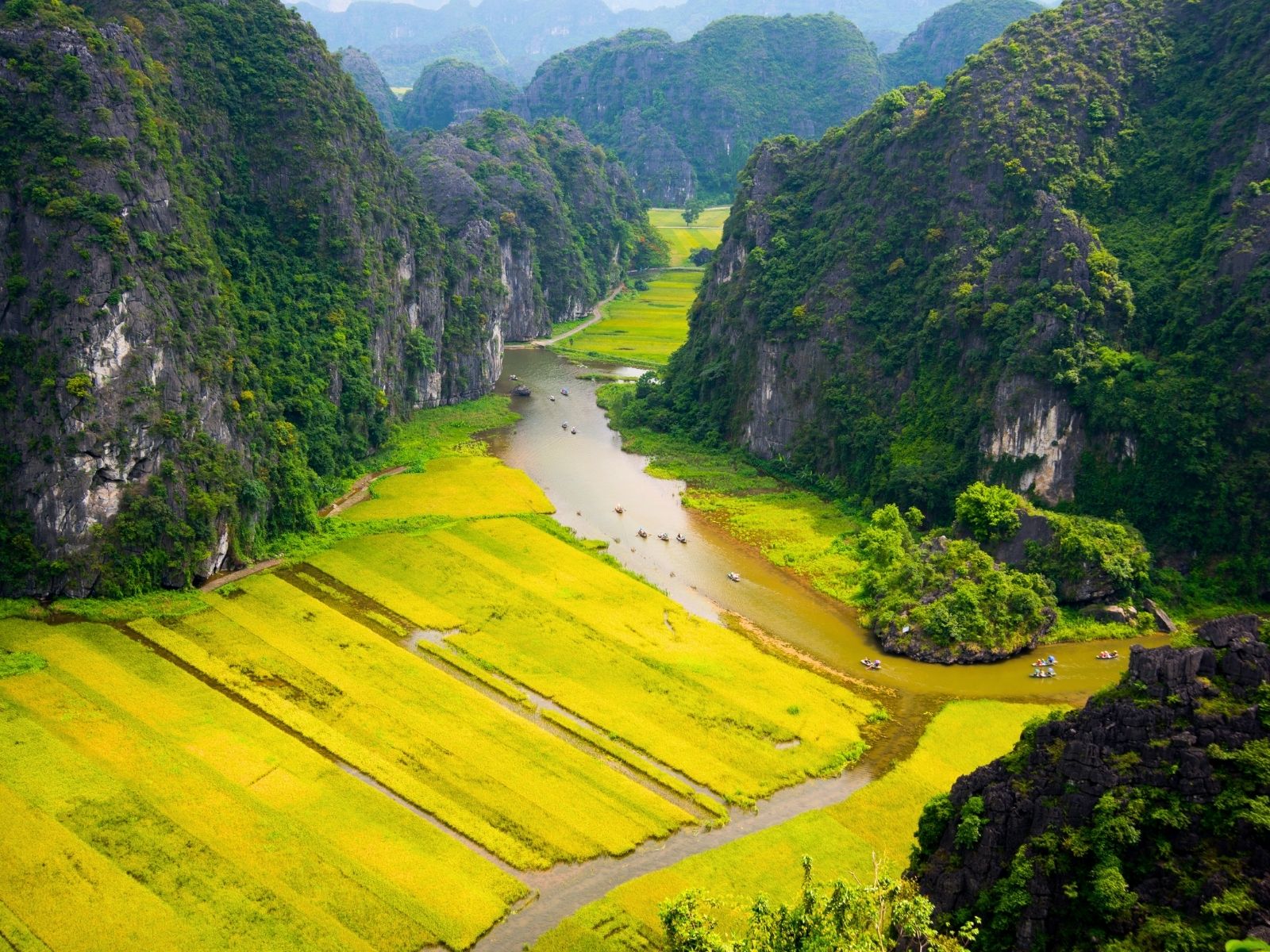 Itinerary Vietnam Vegan Travel Rice fields and limestone mountains in Ninh Bình, Vietnam