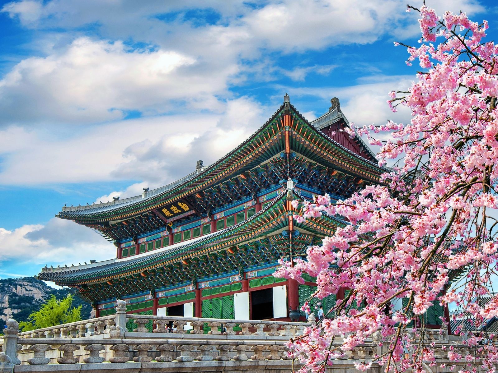 Gyeongbokgung Palace surrounded by cherry blossoms in Seoul, South Korea