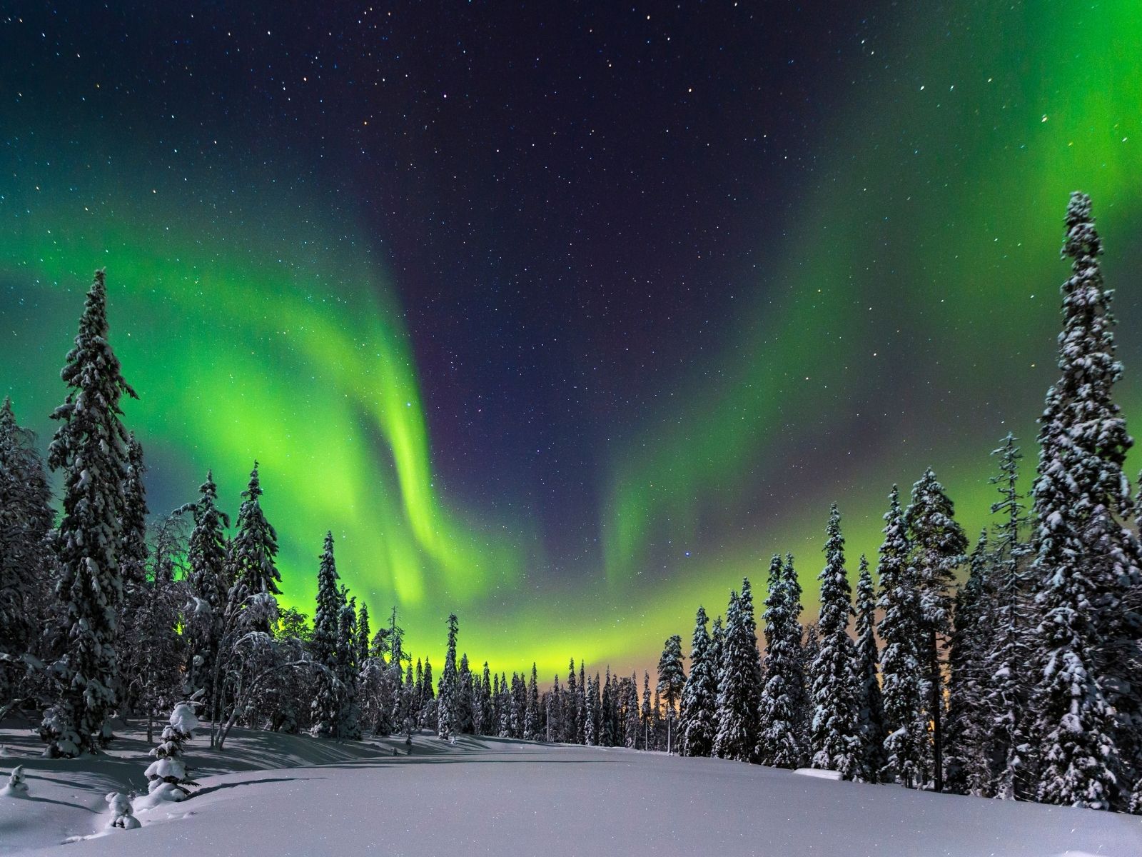 Aurora Borealis illuminating a snowy forest in Finnish Lapland